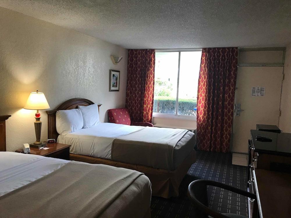 Quality Inn Tampa Lake Magdalene المظهر الخارجي الصورة