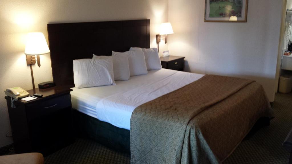 Quality Inn Tampa Lake Magdalene الغرفة الصورة